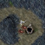 Enhanced Client